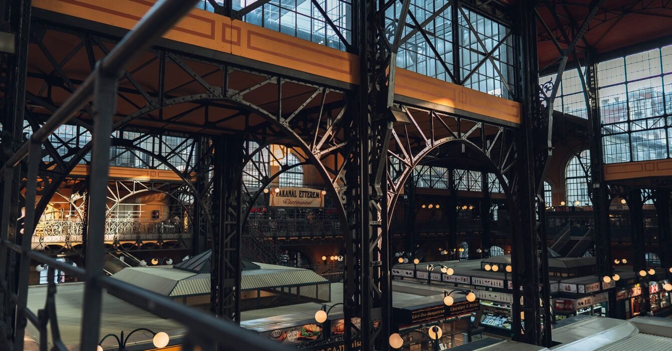 anton-shakirov-k6pXI12U9ek-unsplash anton-shakirov-k6pXI12U9ek-unsplash